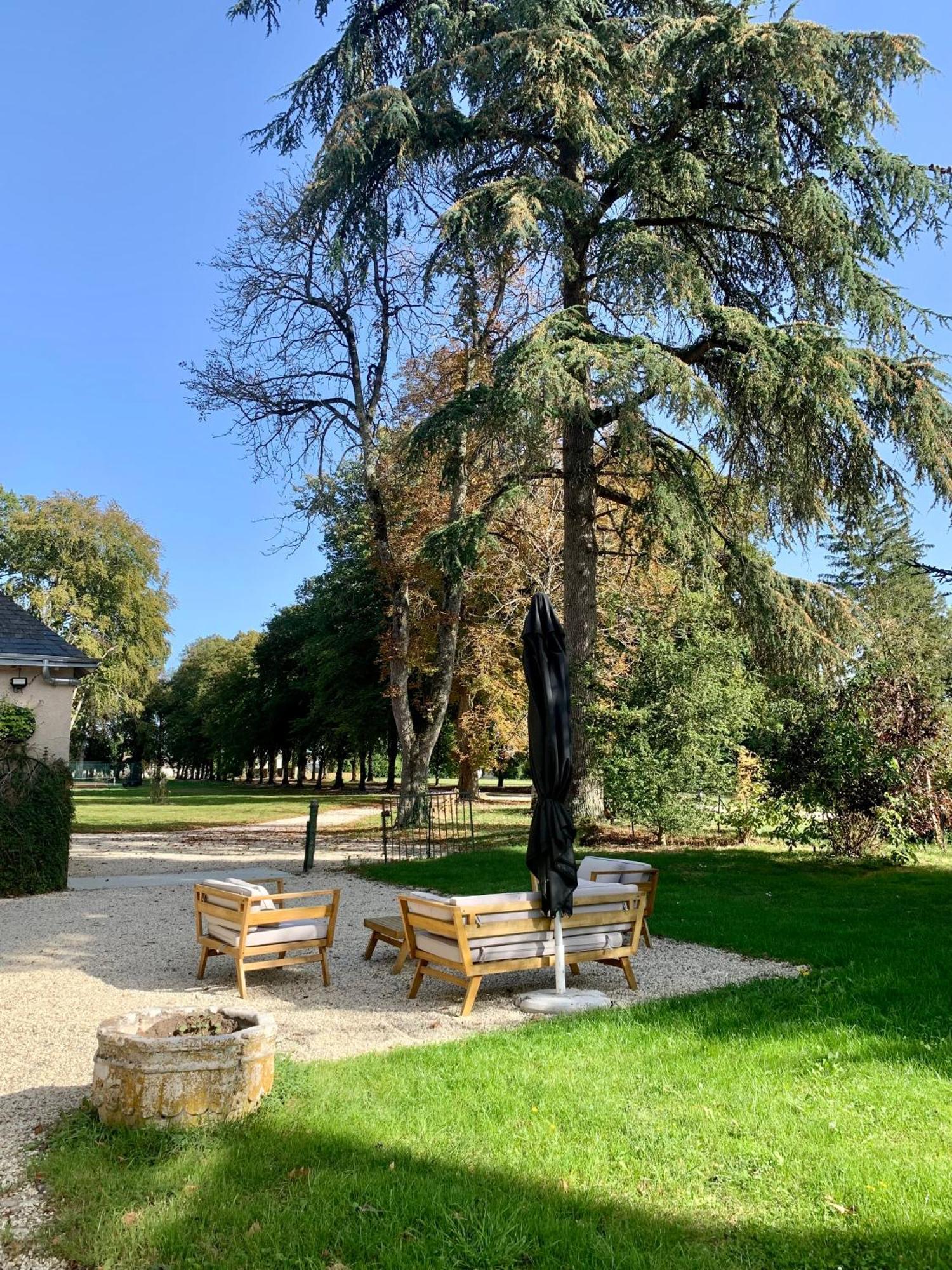 Chateau De L'Epinay - Domaine Du Marquis De Lafayette Dolus-le-Sec Eksteriør bilde